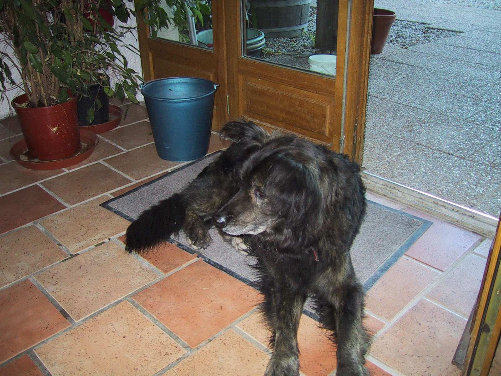 Rover2.jpg (1600 x 1200)